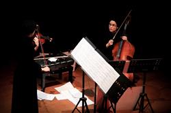اجرای آثار آهنگسازان ایرانی و ایتالیایی در آنسامبل «نیواک» 