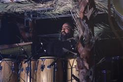 نخستین کنسرت سال 96 «کاکو بند» در تهران برگزار شد